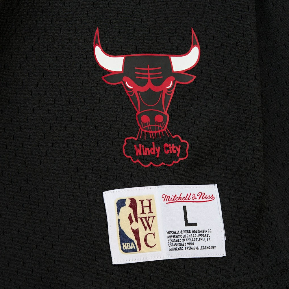 Dennis Rodman Chicago Bulls Mesh Name & Number Short Sleeve Hoodie for sale Black | Mitchell & Ness Lifestyle