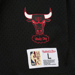 Dennis Rodman Chicago Bulls Mesh Name & Number Short Sleeve Hoodie for sale Black | Mitchell & Ness Lifestyle