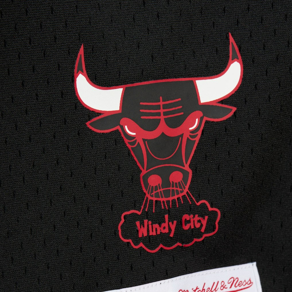 Dennis Rodman Chicago Bulls Mesh Name & Number Short Sleeve Hoodie for sale Black | Mitchell & Ness Lifestyle