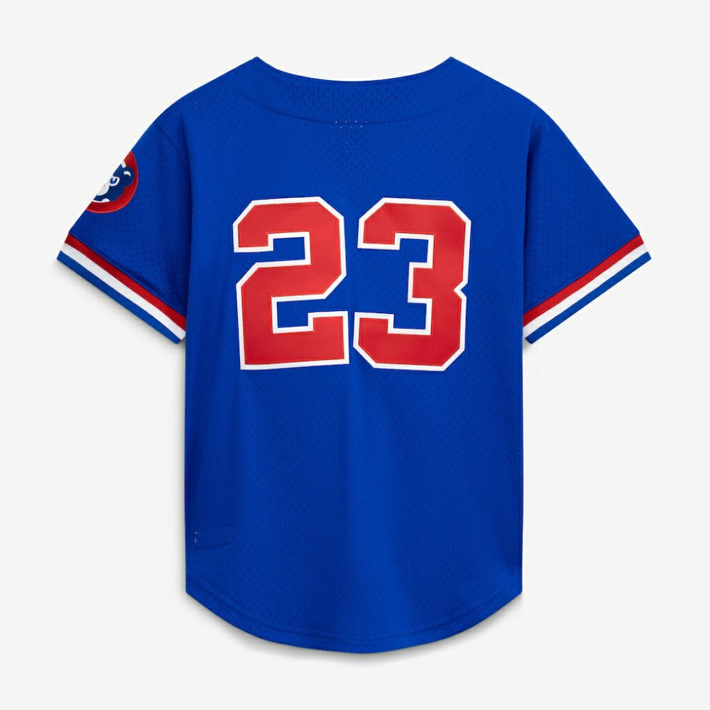Ryne Sandberg Chicago Cubs Mitchell & Ness Cooperstown Collection 1996 Mesh Batting Practice Button-Up Jersey - Royal - Mitchell & Ness Lifestyle