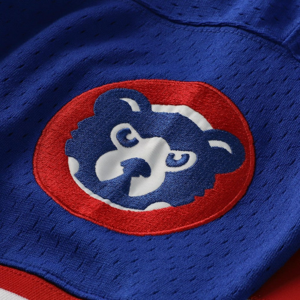 Ryne Sandberg Chicago Cubs Mitchell & Ness Cooperstown Collection 1996 Mesh Batting Practice Button-Up Jersey - Royal - Mitchell & Ness Lifestyle