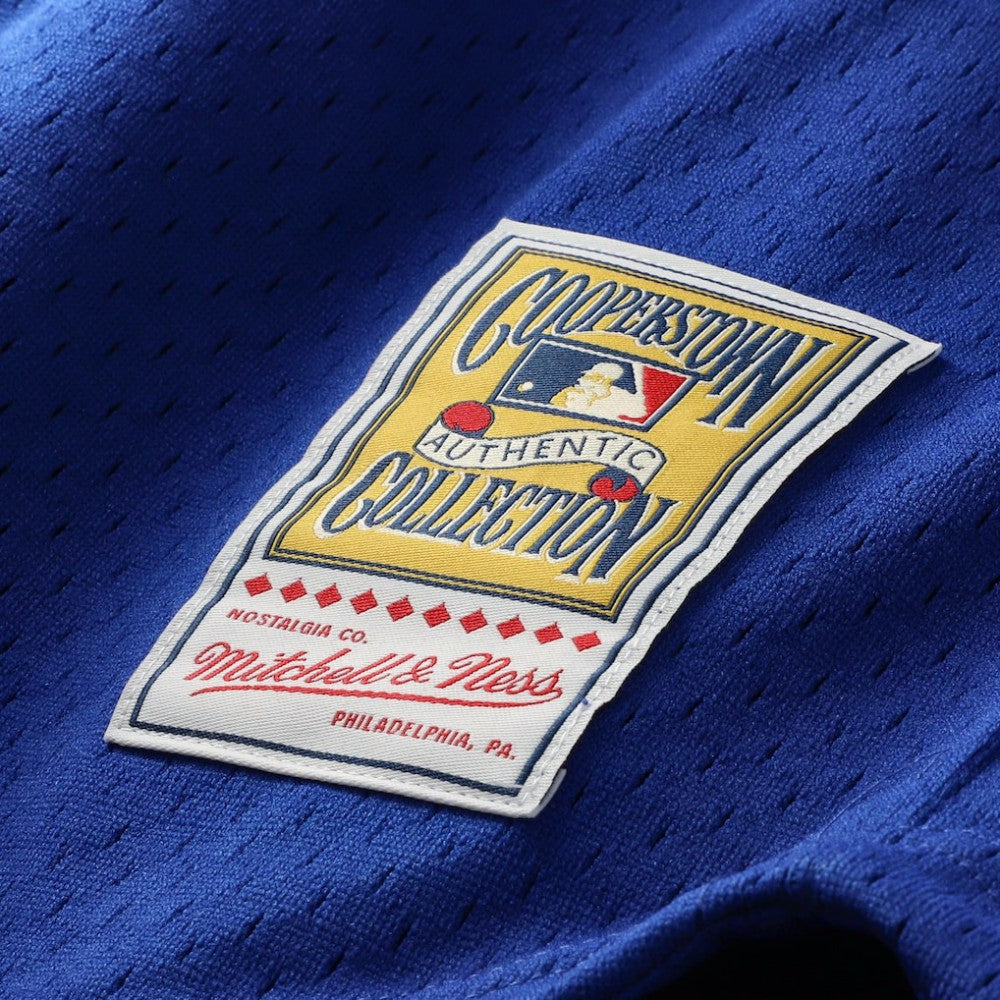 Ryne Sandberg Chicago Cubs Mitchell & Ness Cooperstown Collection 1996 Mesh Batting Practice Button-Up Jersey - Royal - Mitchell & Ness Lifestyle