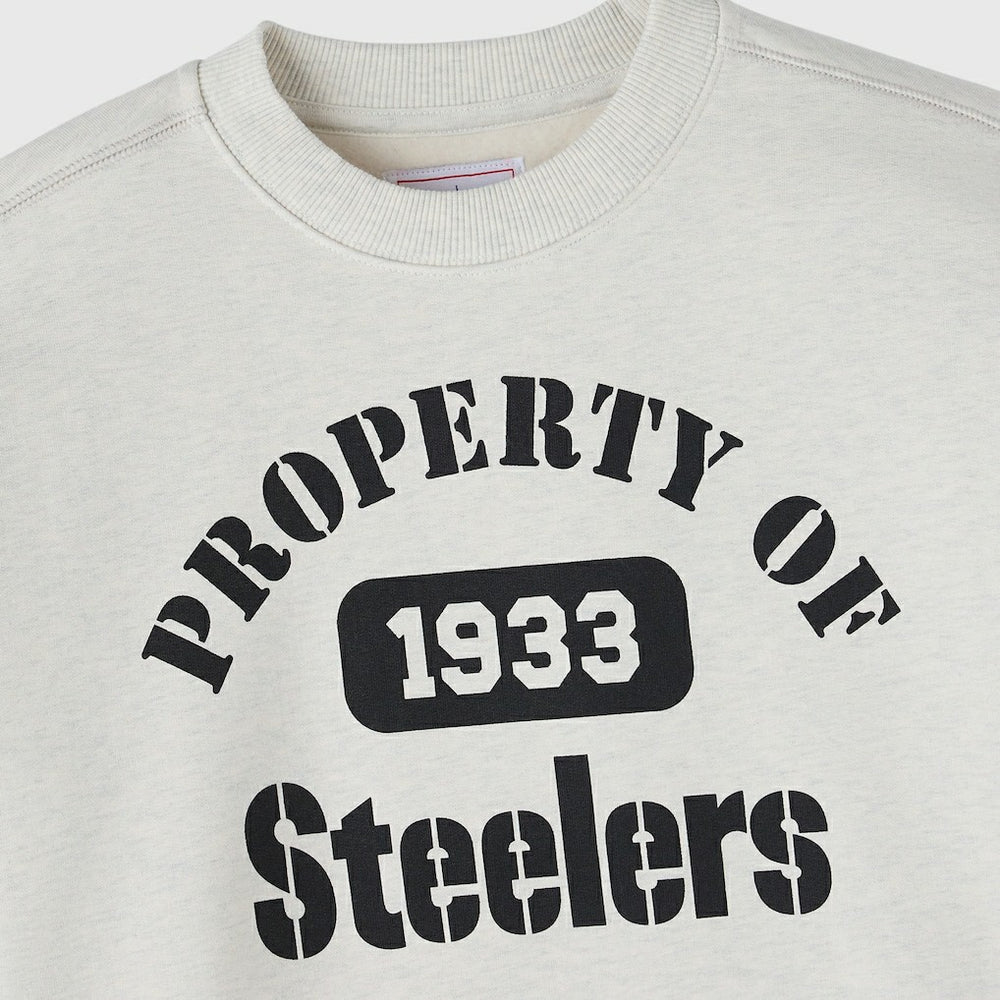 Pittsburgh Steelers OVO x NFL Unisex Fleece Sweatshirt Heather Gray