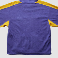 Fanatics Minnesota Vikings NFL 2000s Hooded Pullover Sweatshirt Purple Vintage