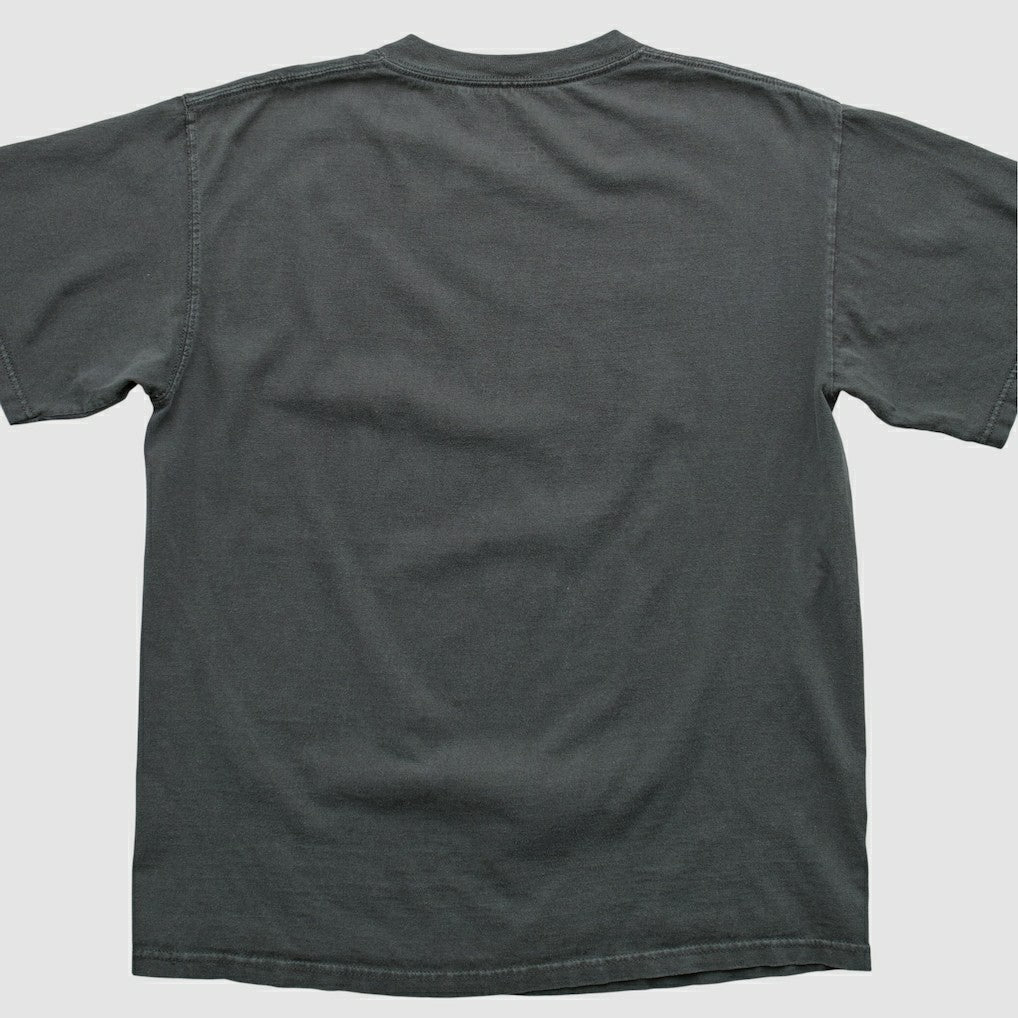 Fanatics Pittsburgh Steelers 2007 T-shirt Black Vintage