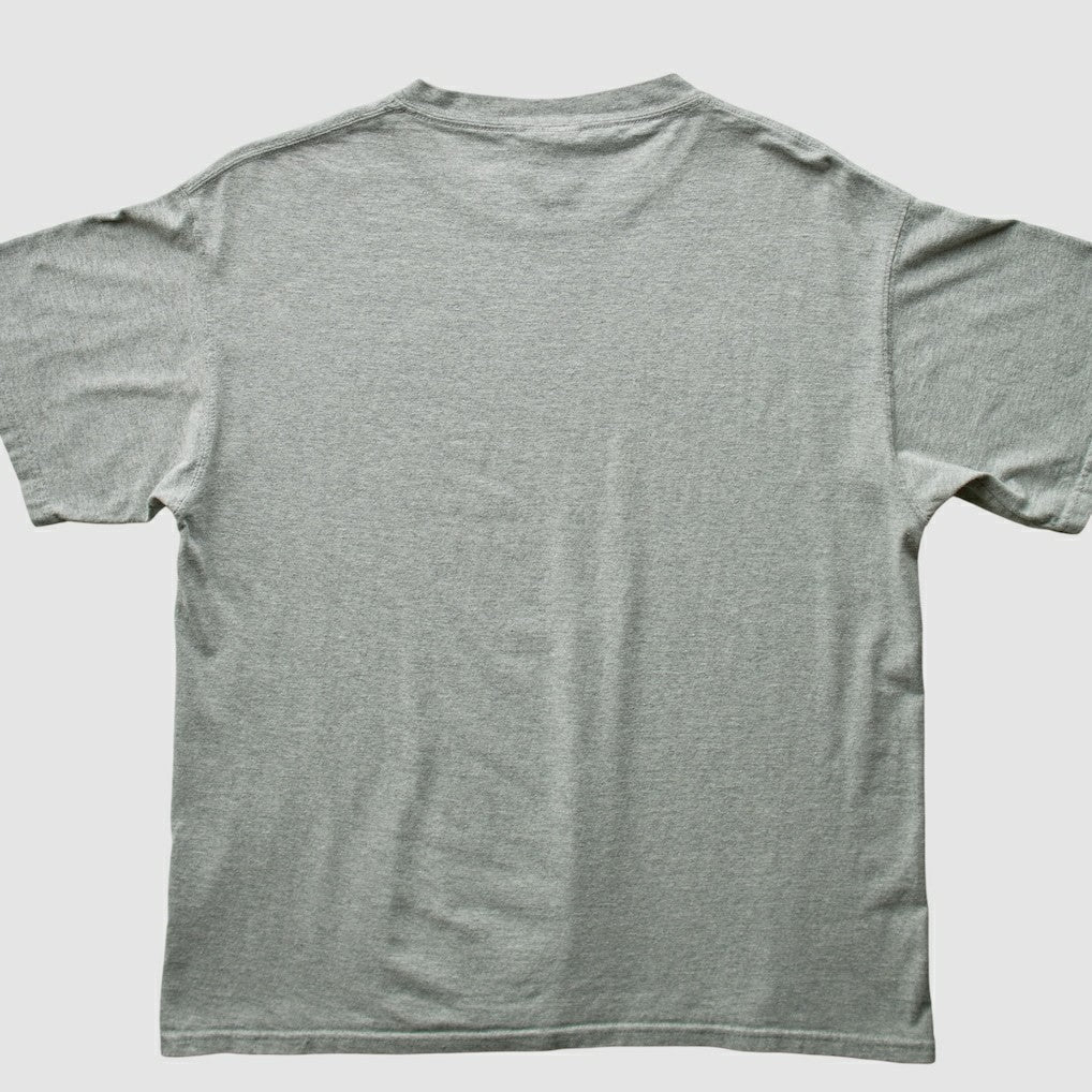 Fanatics Green Bay Packers NFL 2000s T-shirt Heather Gray Vintage