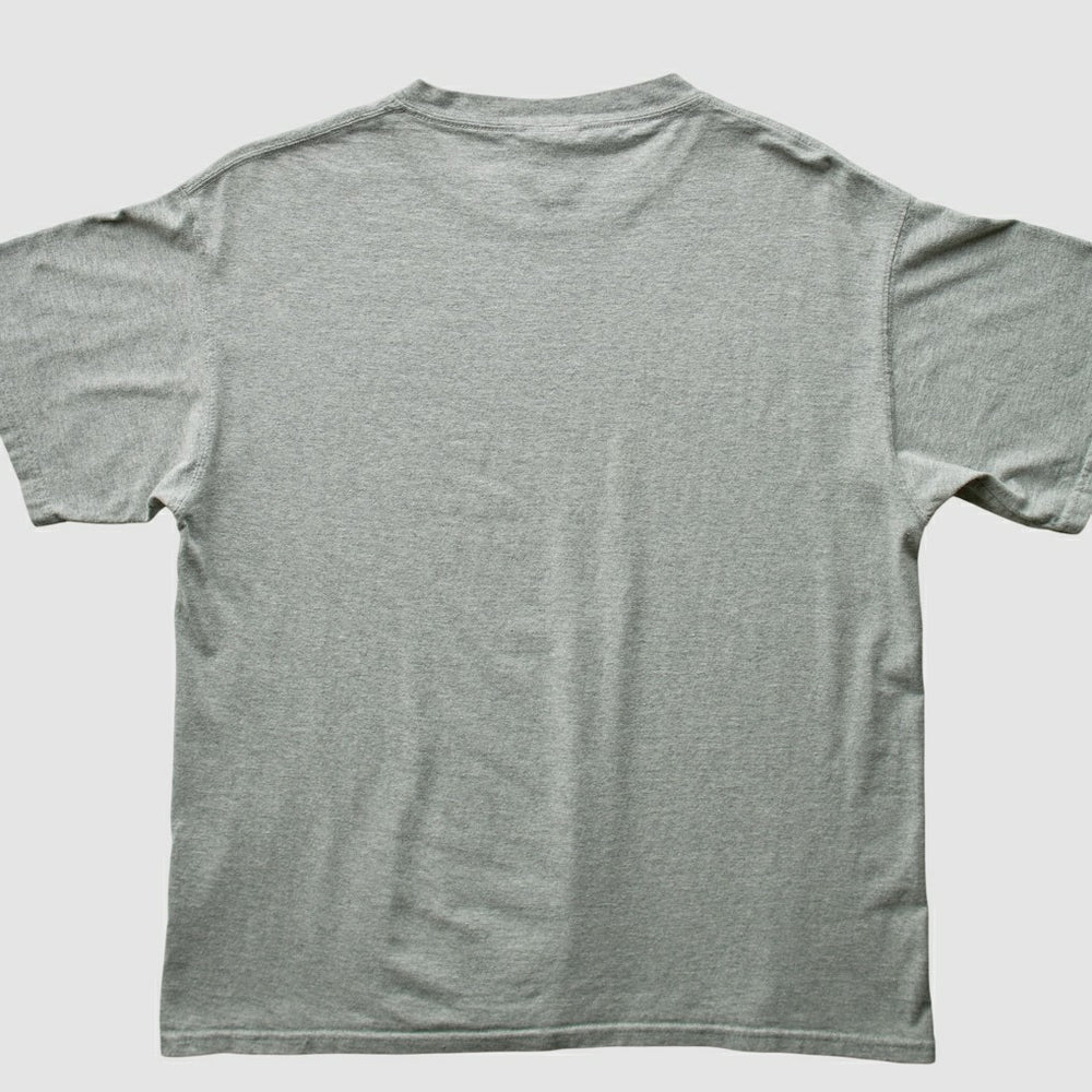 Fanatics Green Bay Packers NFL 2000s T-shirt Heather Gray Vintage