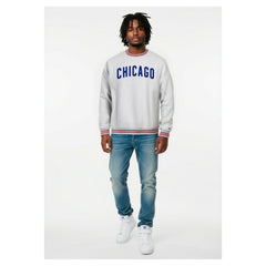 Chicago Cubs Champion Reverse Weave Sweatshirt - Heather Gray - MLB Lifestyle