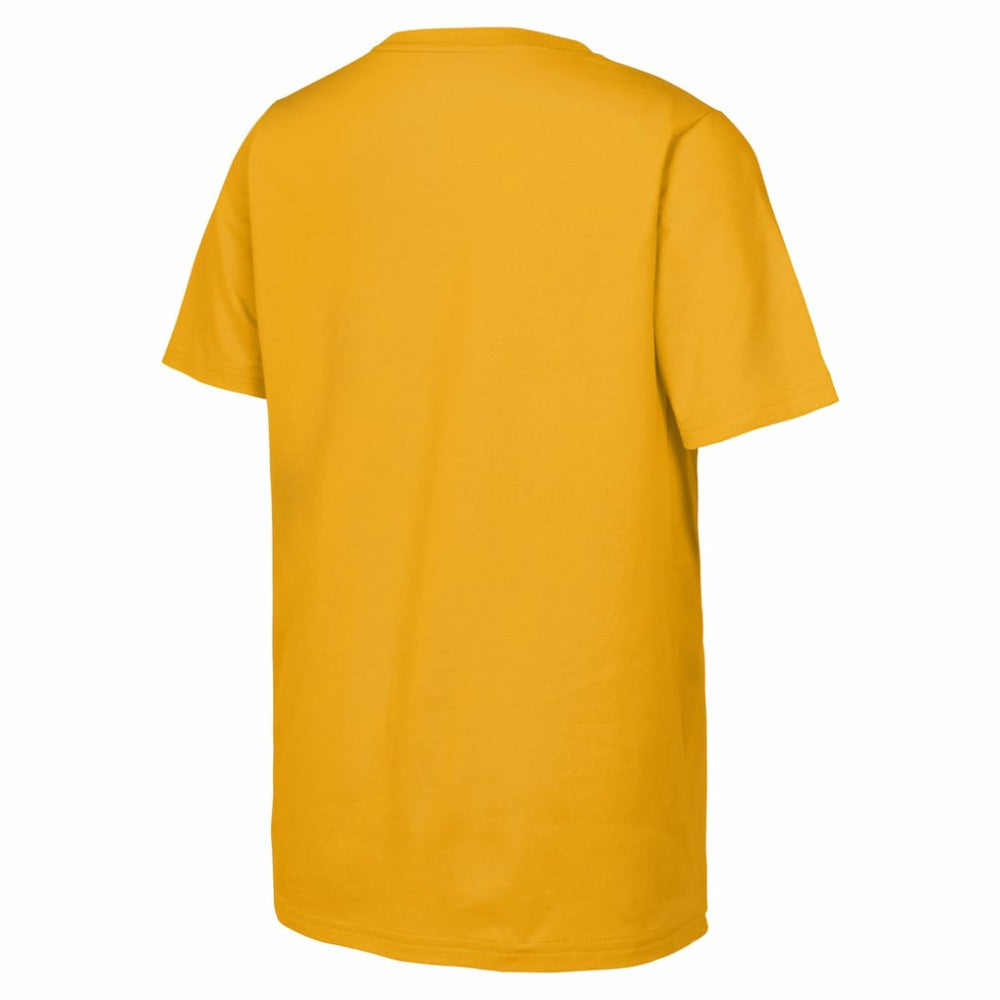 Boston Bruins Fanatics Youth 2026 NHL Stadium Series Authentic Locker Room T-Shirt - Gold - NHL 203671069