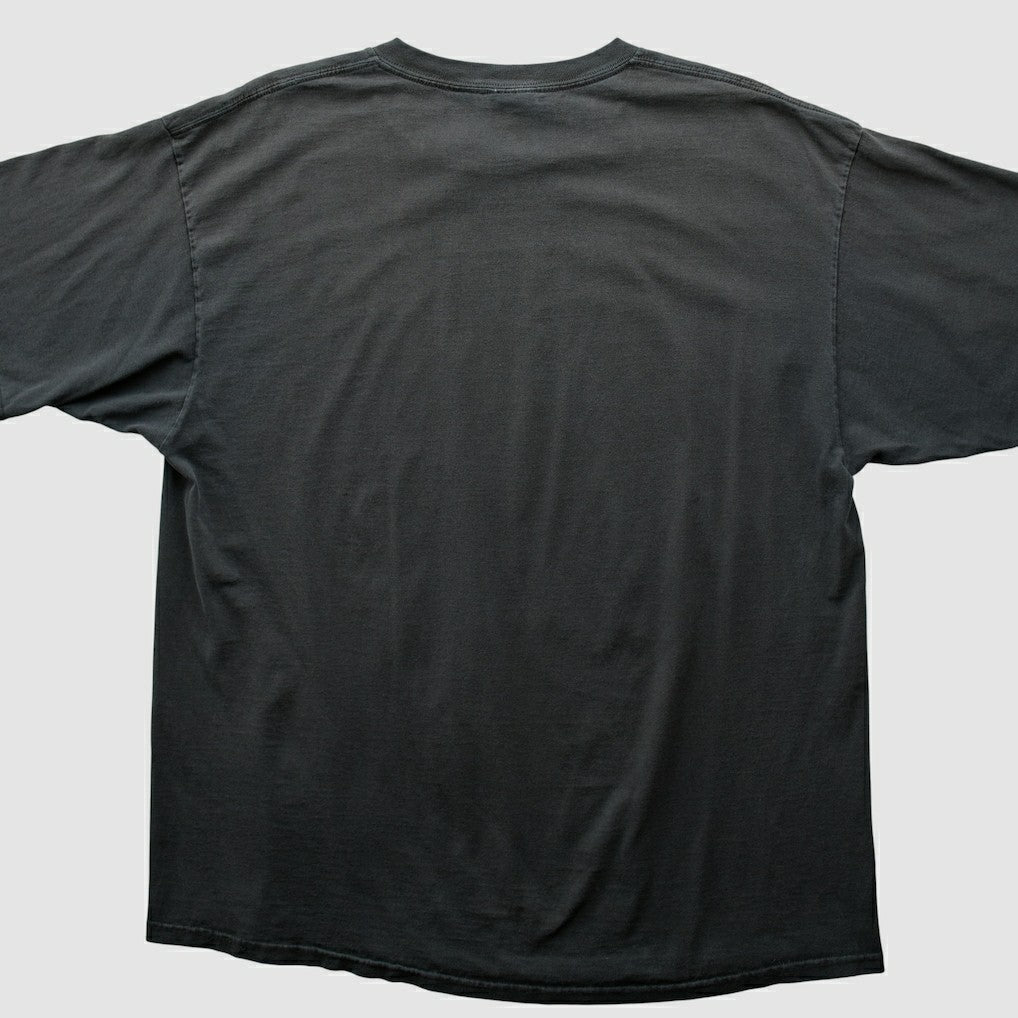 Fanatics Pittsburgh Steelers NFL 2000s T-shirt Black Vintage