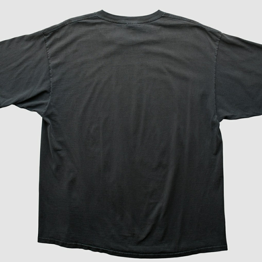 Fanatics Pittsburgh Steelers NFL 2000s T-shirt Black Vintage