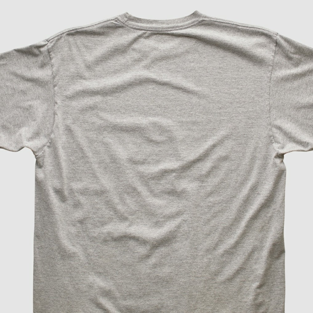 Fanatics Pittsburgh Steelers Reebok 2006 T-shirt Heather Gray Vintage
