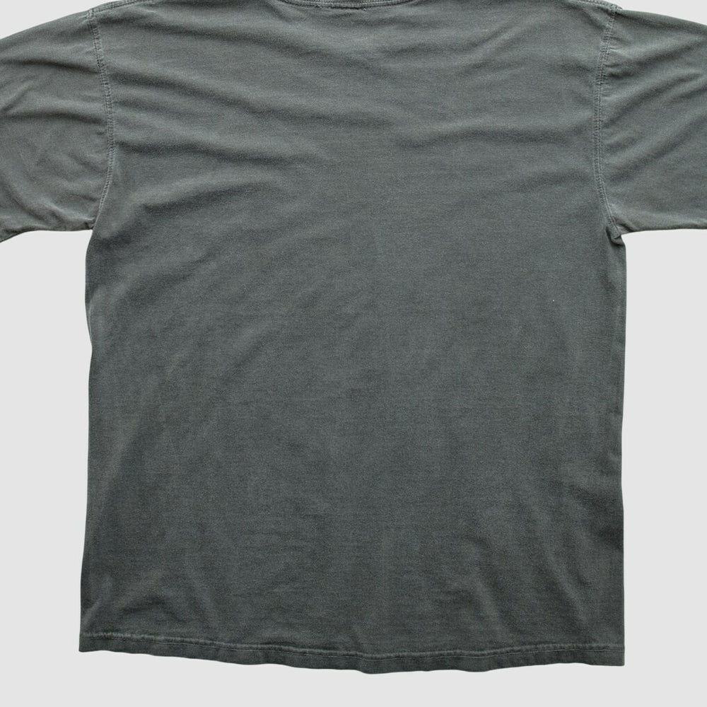 Fanatics Cleveland Browns NFL Pro Line 2010s T-shirt Charcoal Vintage