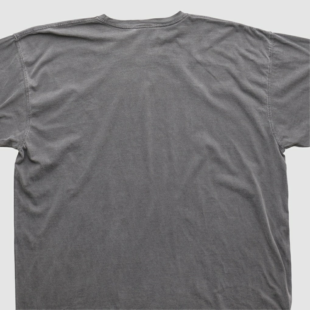 Fanatics Cleveland Browns NFL 2010s T-shirt Charcoal Vintage