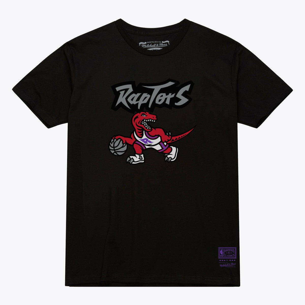 Toronto Raptors Unisex Hardwood Classics Arch T-Shirt Black | Mitchell & Ness