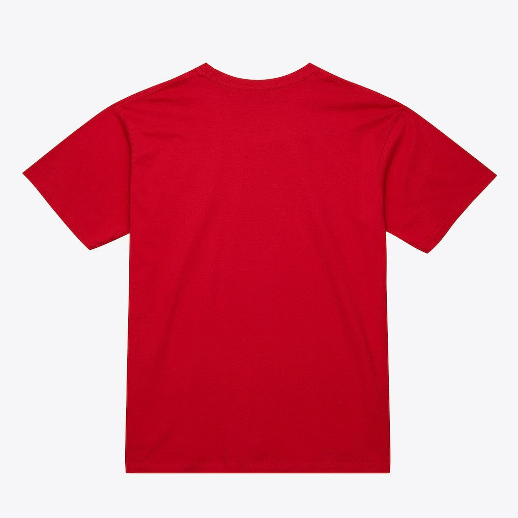 Atlanta Hawks Unisex Hardwood Classics Arch T-Shirt Red | Mitchell & Ness online