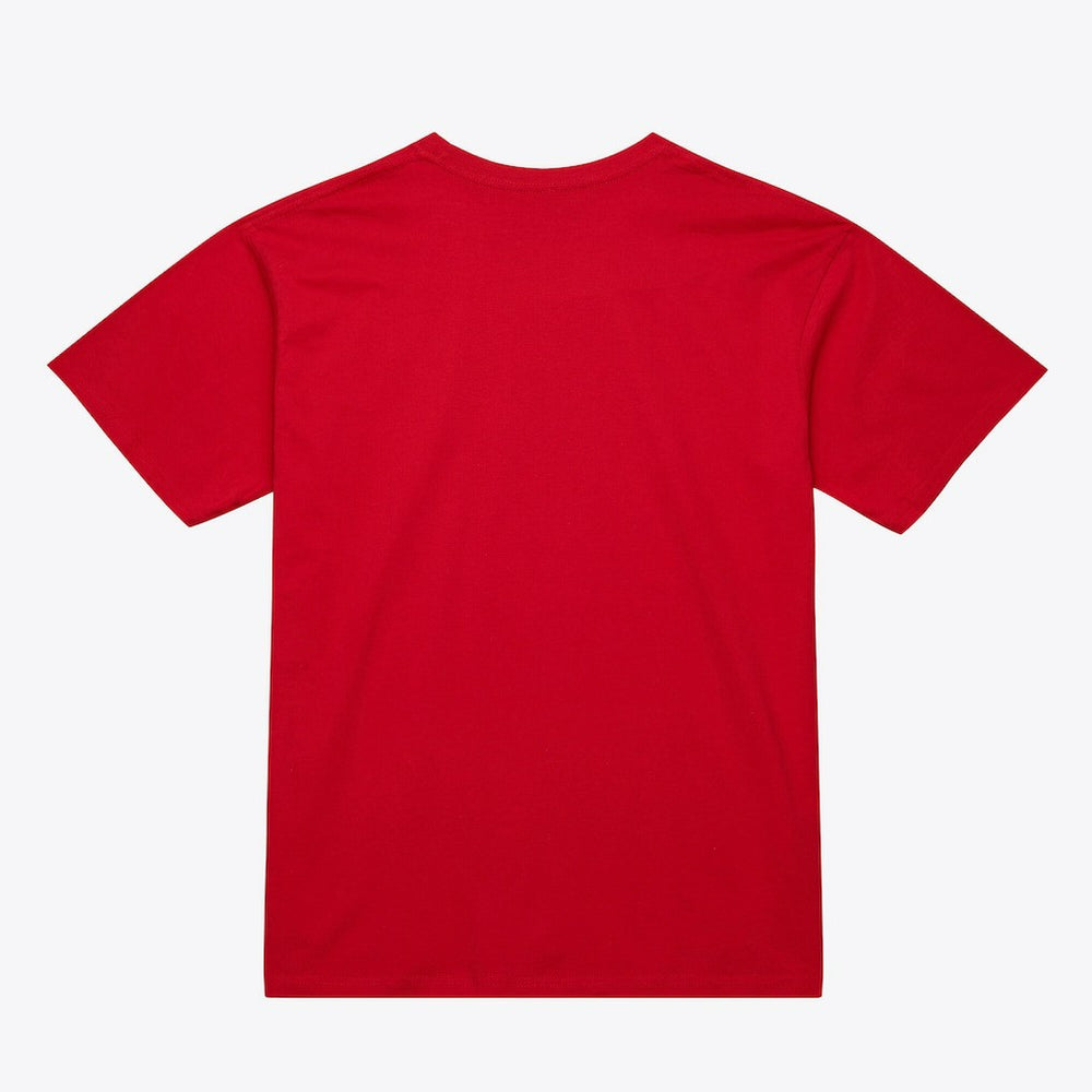 Atlanta Hawks Unisex Hardwood Classics Arch T-Shirt Red | Mitchell & Ness online