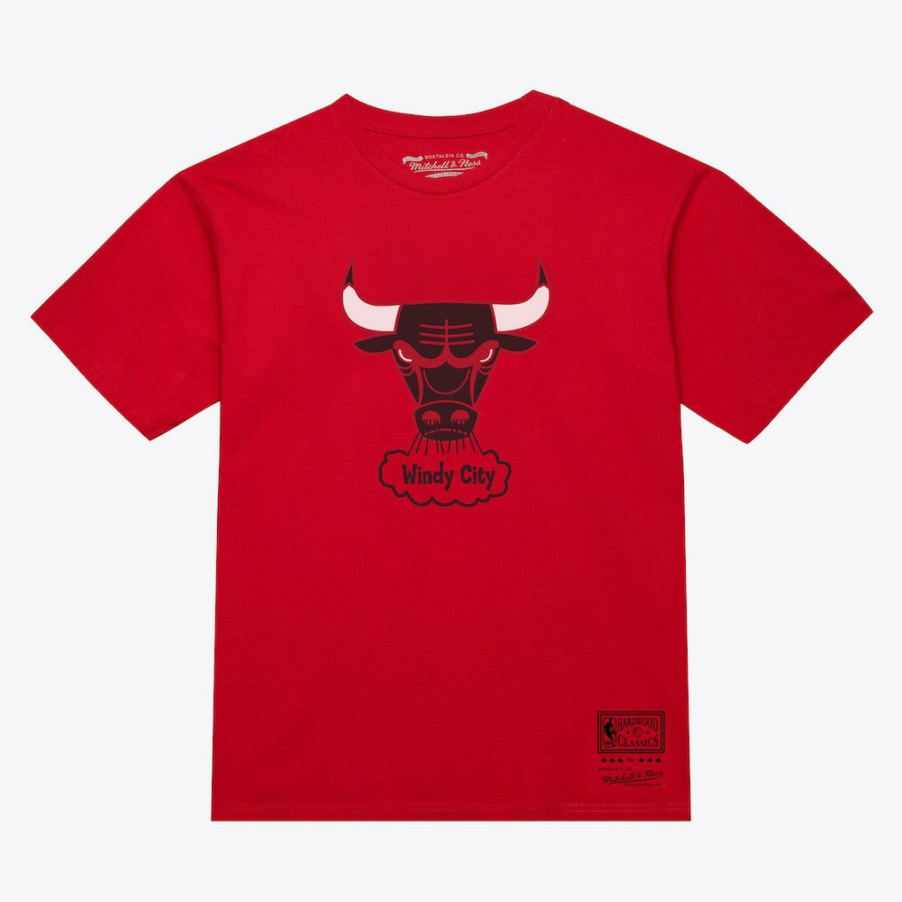 Chicago Bulls Unisex Hardwood Classics Arch T-Shirt for sale Red | Mitchell & Ness Near Me