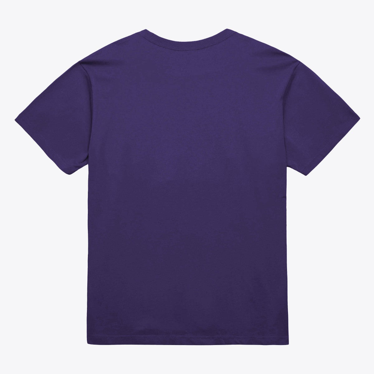 Phoenix Suns Unisex Hardwood Classics Arch T-Shirt Purple | Mitchell & Ness Near Me