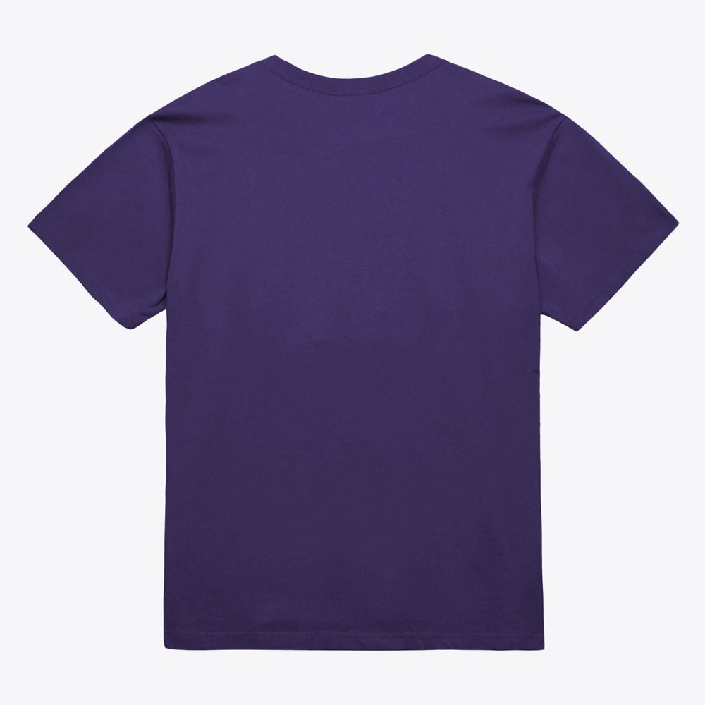 Phoenix Suns Unisex Hardwood Classics Arch T-Shirt Purple | Mitchell & Ness Near Me