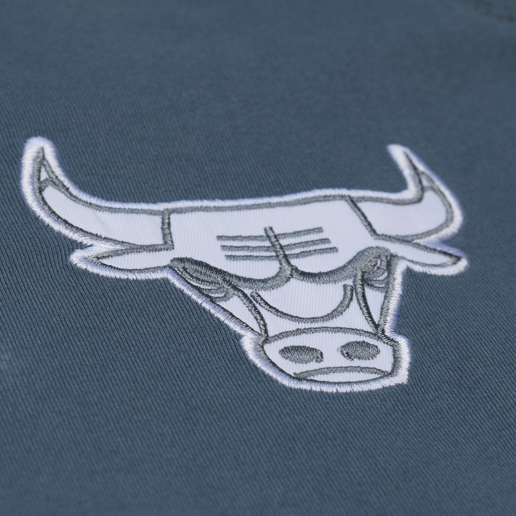 Chicago Bulls Thunderstorm T-Shirt for sale Blue | Mitchell & Ness Lifestyle