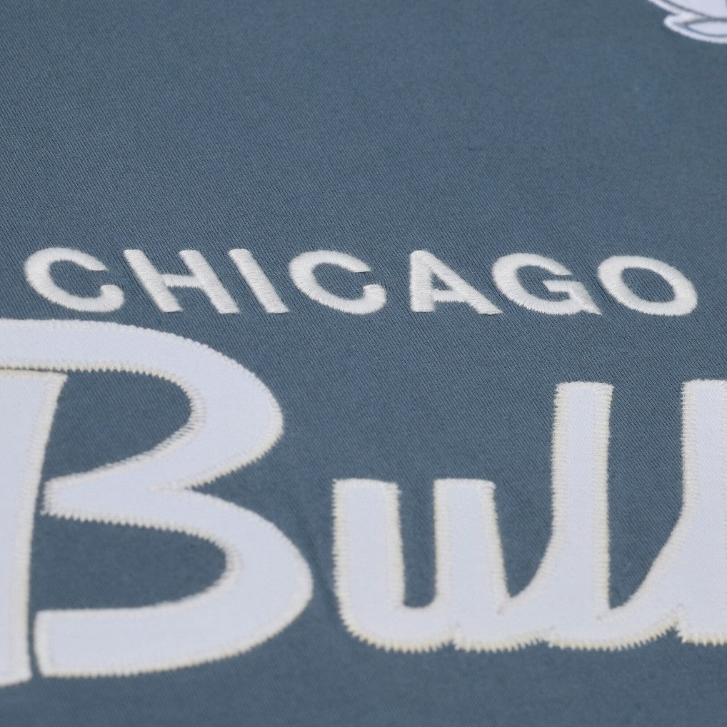 Chicago Bulls Thunderstorm T-Shirt for sale Blue | Mitchell & Ness Lifestyle