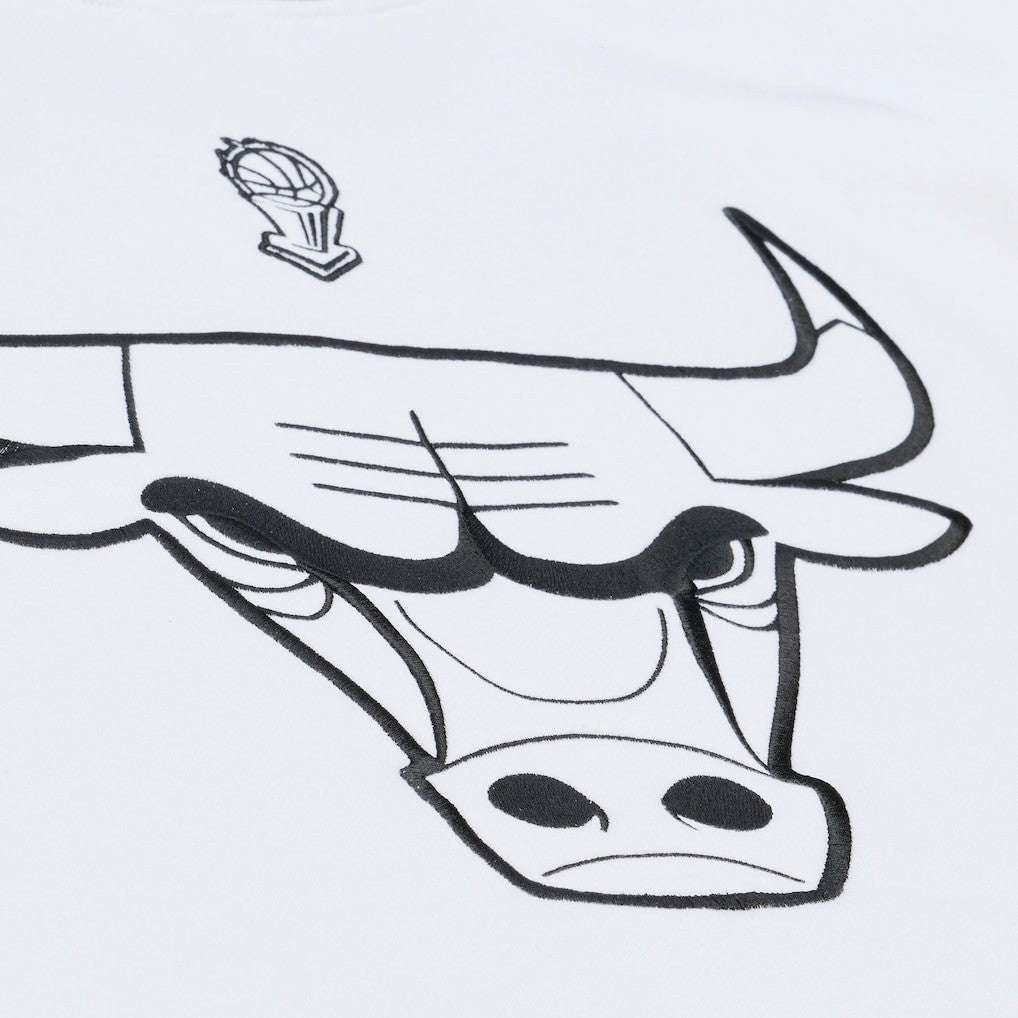 Chicago Bulls Hardwood Classics Arctic Fleece Sweatshirt White | Mitchell & Ness Near Me