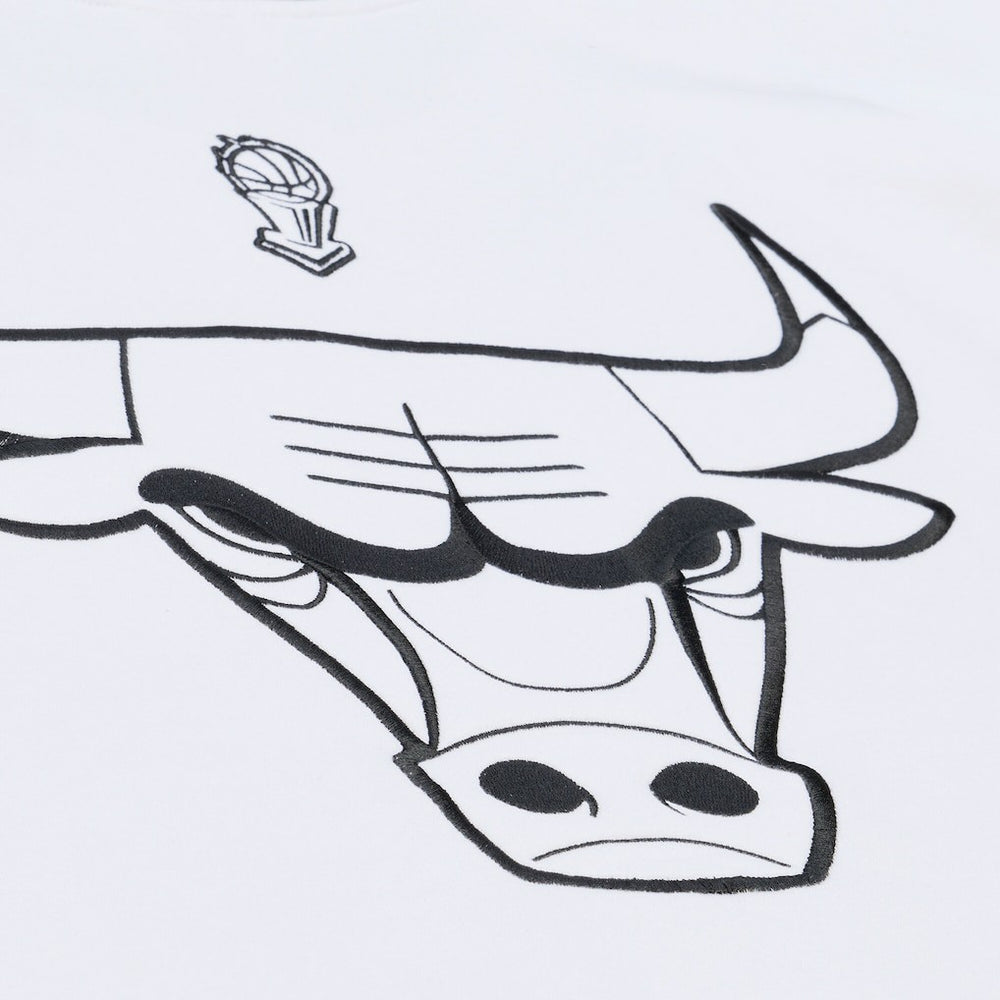Chicago Bulls Hardwood Classics Arctic Fleece Sweatshirt White | Mitchell & Ness Near Me
