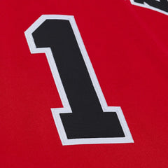 Derrick Rose Chicago Bulls 2008-09 Authentic Jersey for sale Red | Mitchell & Ness US
