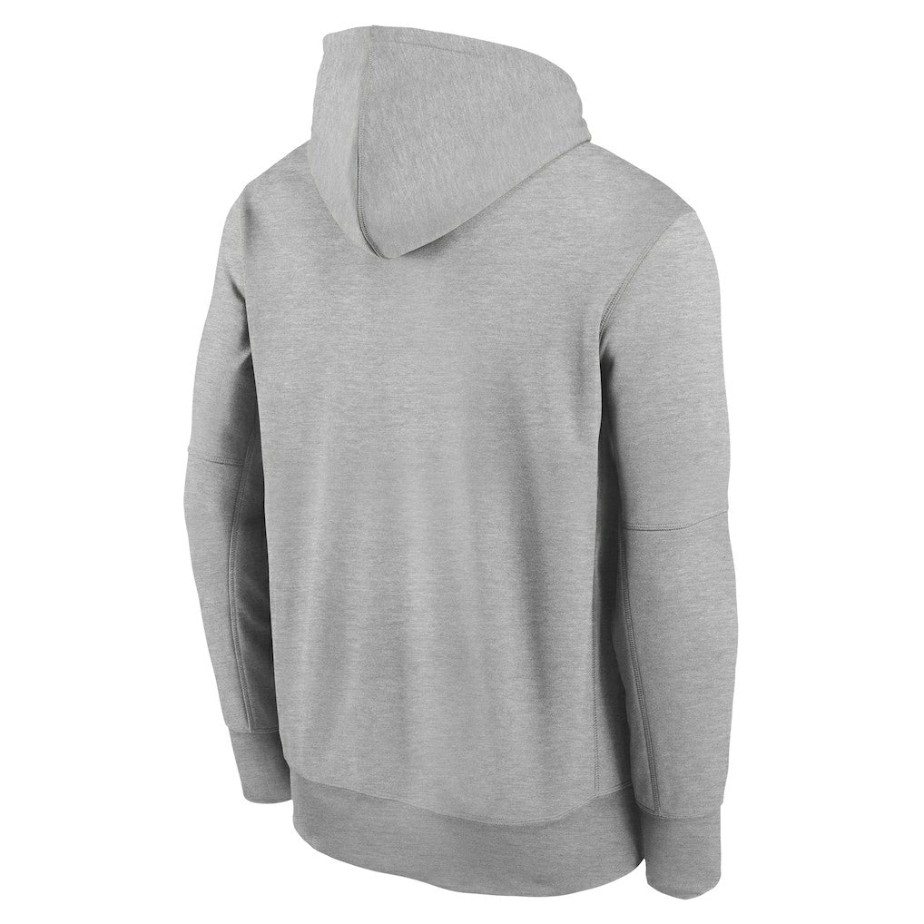 Nike New England Patriots Youth 2025 AFC Champions Locker Room Trophy Collection Authentic Hoodie Gray
