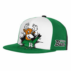 Milwaukee Bucks Youth Mascot Snapback Hat Green | Mitchell & Ness