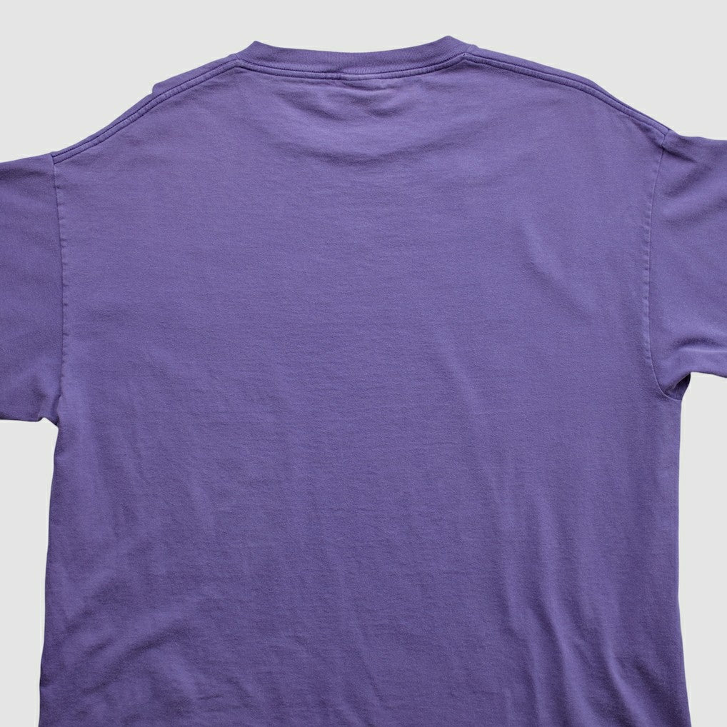 Fanatics Minnesota Vikings Lee Apparel 2000s T-shirt Purple Vintage
