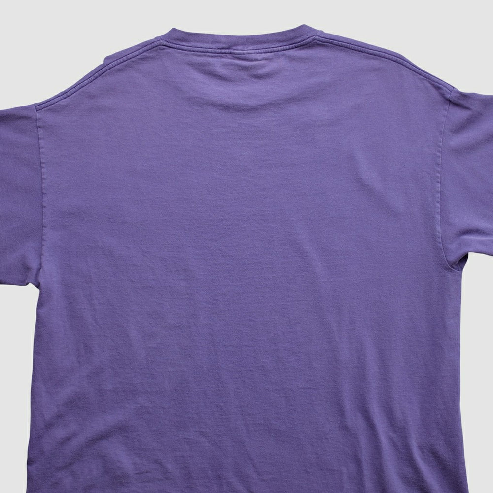 Fanatics Minnesota Vikings Lee Apparel 2000s T-shirt Purple Vintage