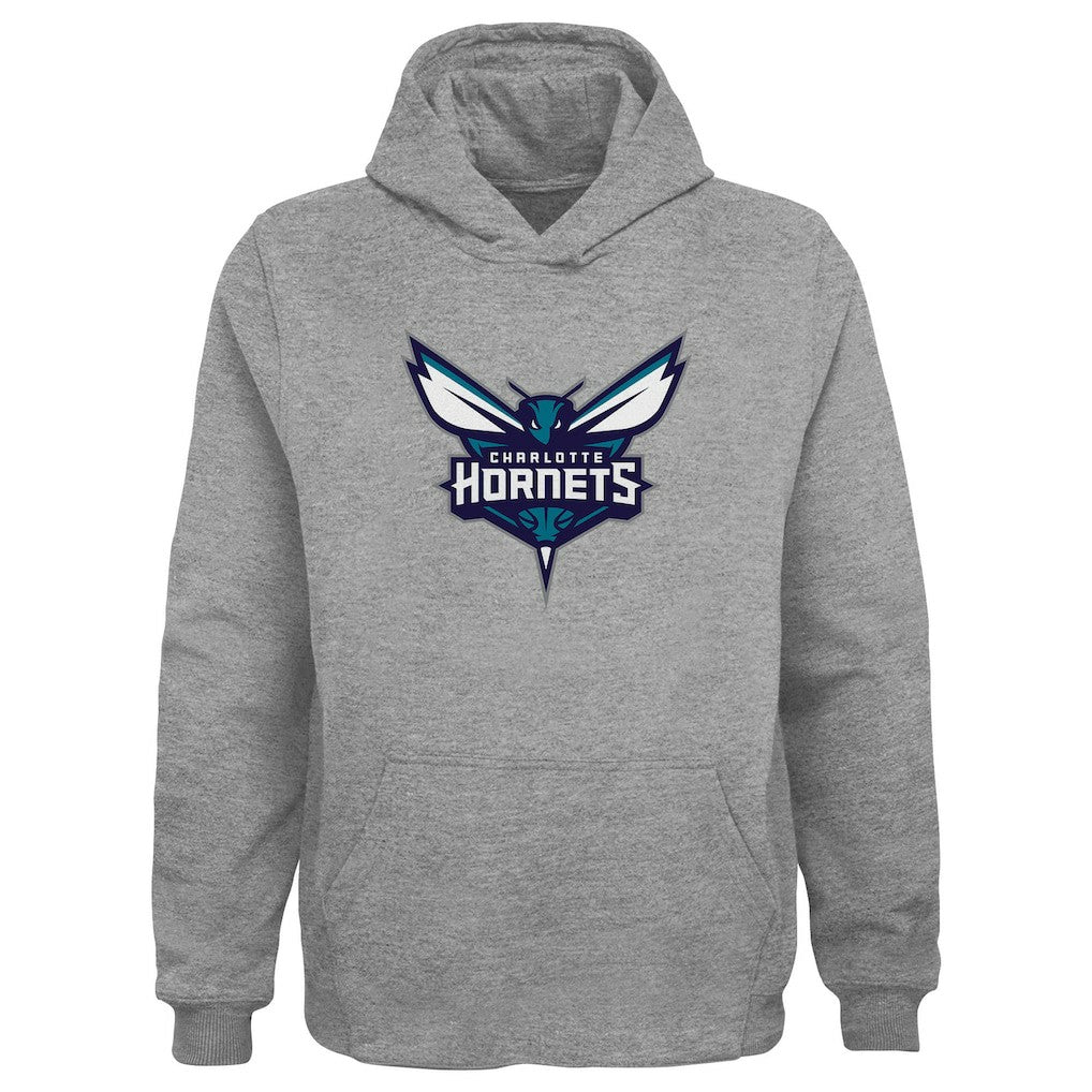 Charlotte Hornets Outerstuff Youth Primary Logo Pullover Hoodie Gray