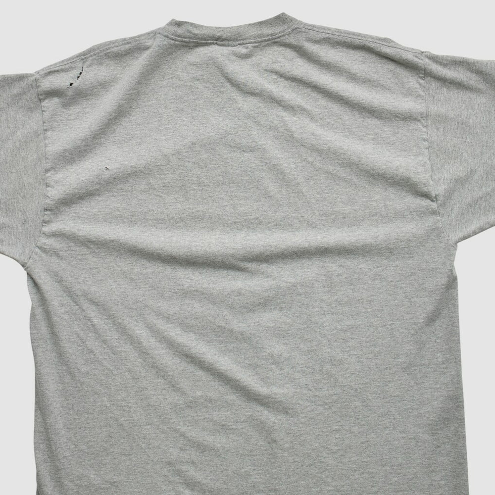 Fanatics New England Patriots Reebok 2000s T-shirt Heather Gray Vintage