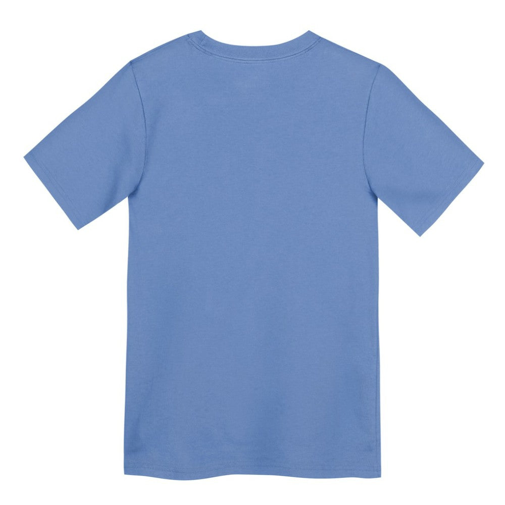 Chicago Cubs Nike Preschool Electric Bear Alternate T-Shirt - Light Blue - Nike Online
