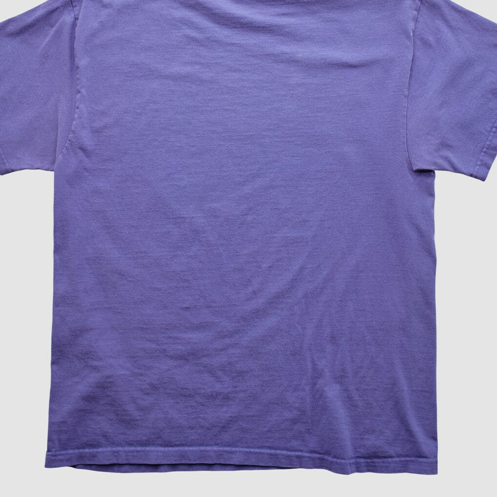 Fanatics Minnesota Vikings NFL 2000s T-shirt Purple Vintage