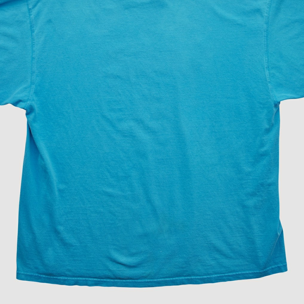 Fanatics Carolina Panthers NFL 2000s T-shirt Blue Vintage