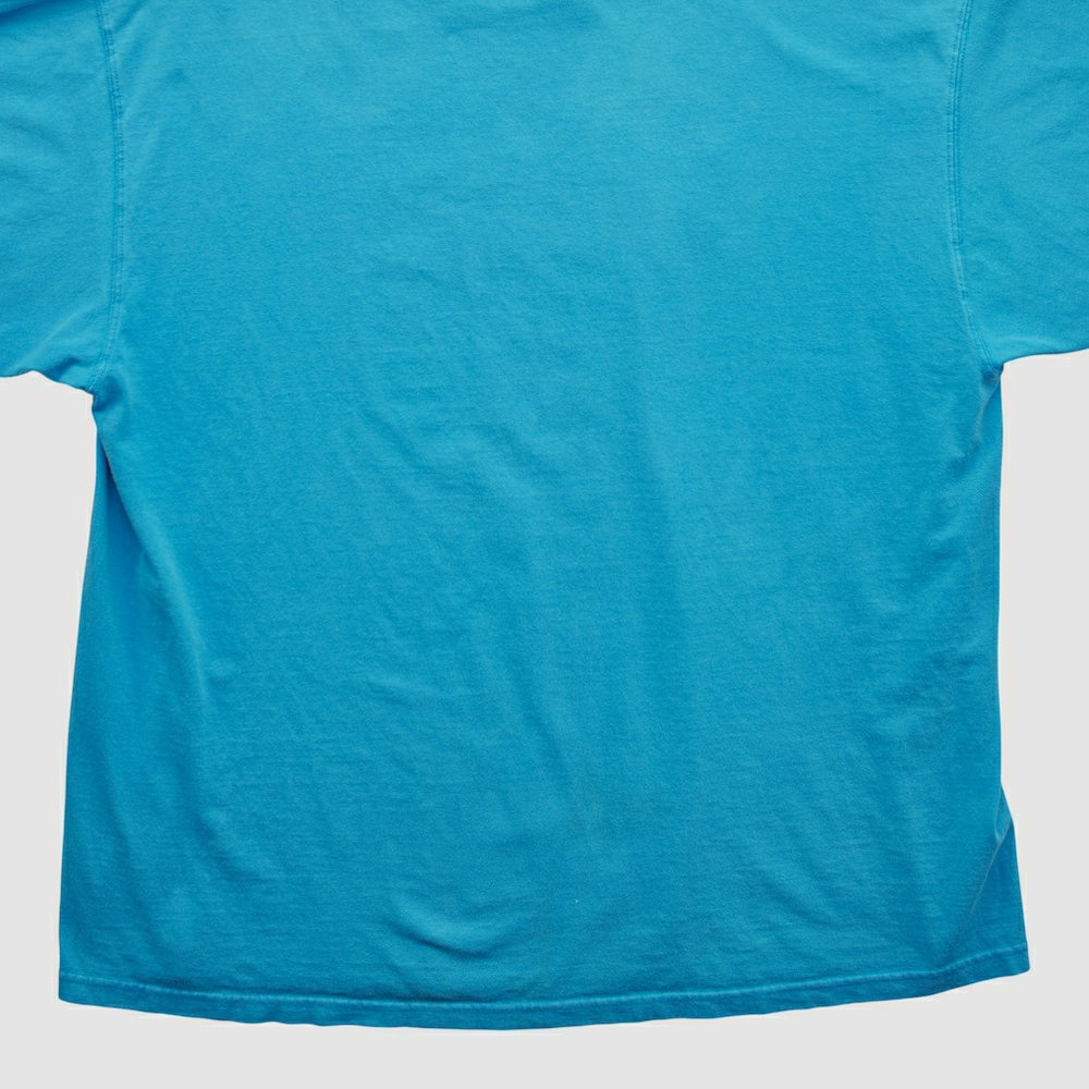Fanatics Carolina Panthers NFL 2000s T-shirt Blue Vintage