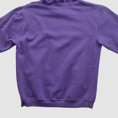 Fanatics Minnesota Vikings NFL 2000s Hooded Pullover Sweatshirt Purple Vintage