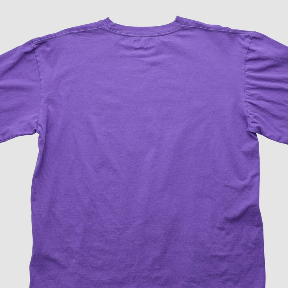 Fanatics Minnesota Vikings NFL 2000s T-shirt Purple Vintage
