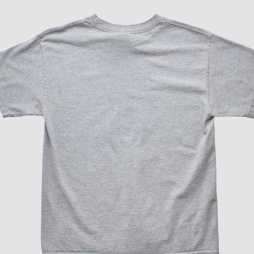 Fanatics Denver Broncos NFL 2000s T-shirt Heather Gray Vintage