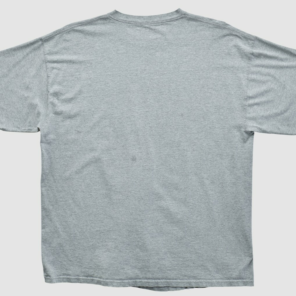 Fanatics Miami Dolphins NFL 2000s T-shirt Heather Gray Vintage