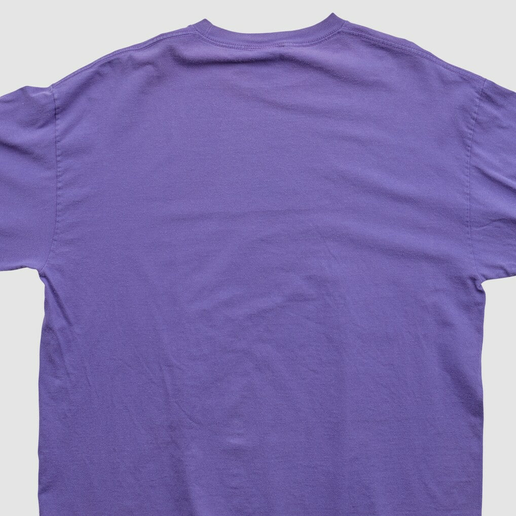 Fanatics Minnesota Vikings NFL 2010s Long Sleeve T-shirt Purple Vintage