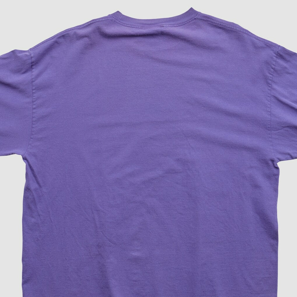 Fanatics Minnesota Vikings NFL 2010s Long Sleeve T-shirt Purple Vintage