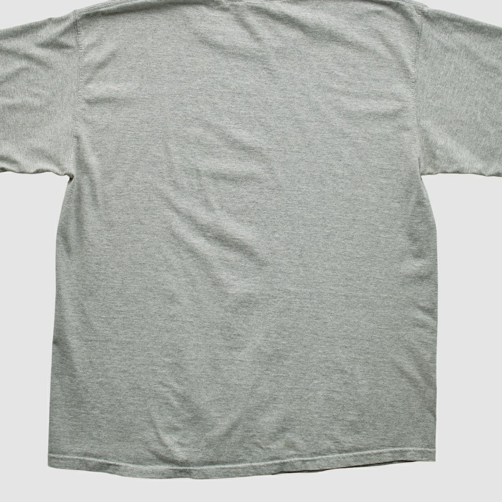 Fanatics New England Patriots NFL 2000s T-shirt Heather Gray Vintage