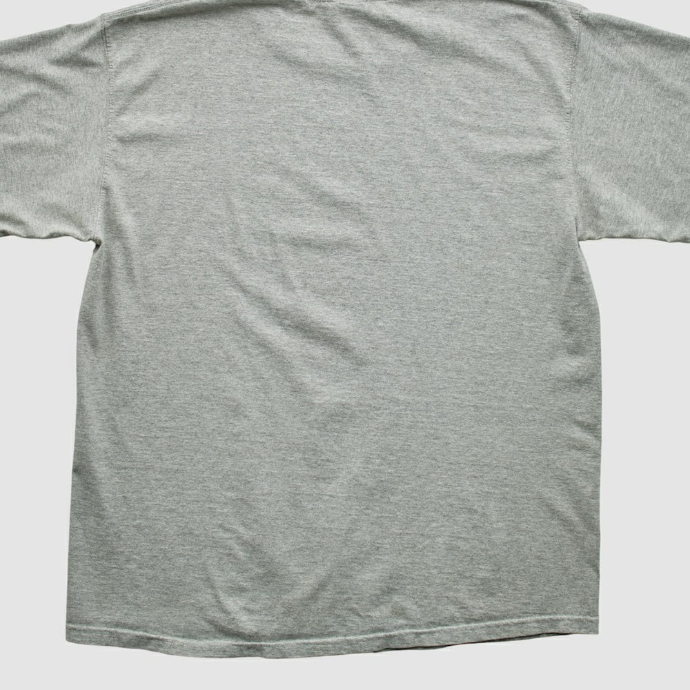 Fanatics New England Patriots NFL 2000s T-shirt Heather Gray Vintage