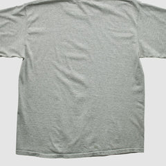 Fanatics New England Patriots NFL 2000s T-shirt Heather Gray Vintage