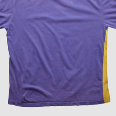 Fanatics Minnesota Vikings NFL 2000s Long Sleeve T-shirt Purple Vintage