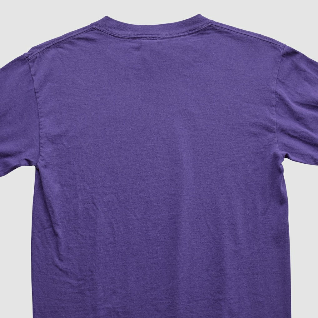Fanatics Adrian Peterson NFL 2000s Long Sleeve T-shirt Purple Vintage